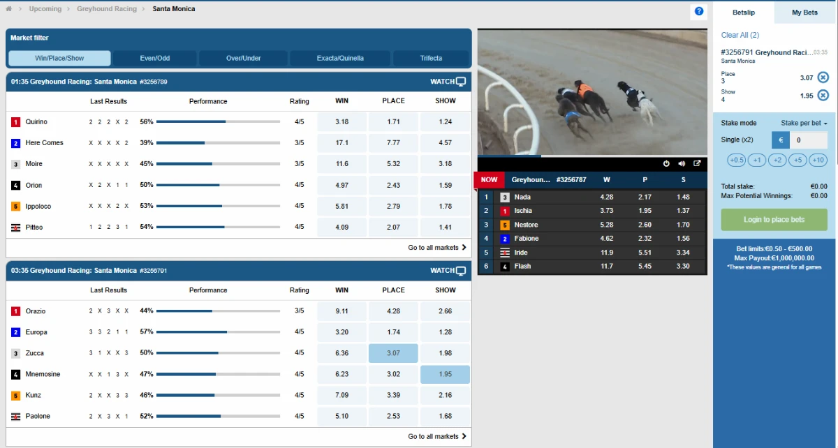 online virtual betting - greyhound